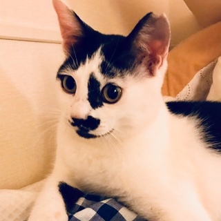 ボクの瞳に映るのは、あ・な・た  なんちゃって♪