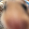 麦きなこ