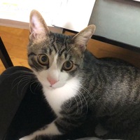 ポッケ