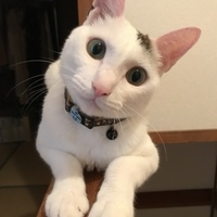 ヨネ