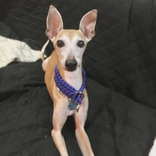 元気で綺麗な男の子