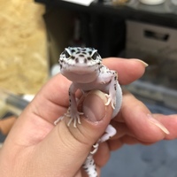 南那緒
