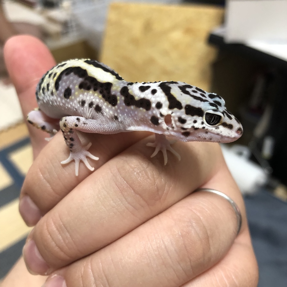 南那緒のカバー写真