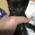本当にありがとうございました。