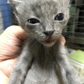 本当にありがとうございました。