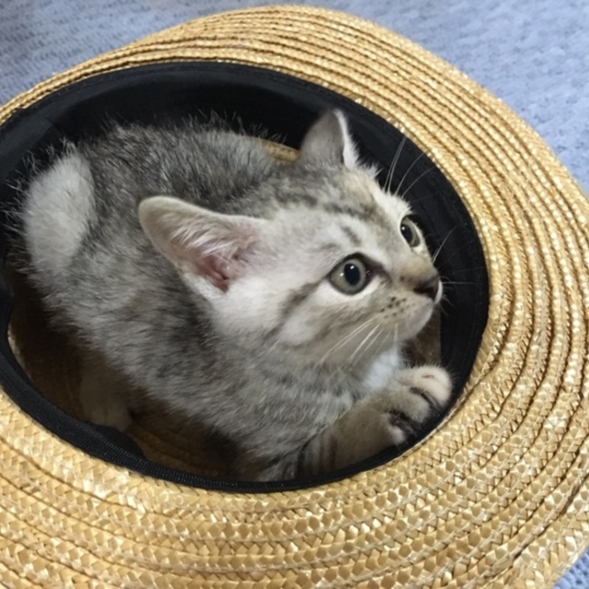 秘書ままのカバー写真