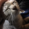 なでなで気持ち良い〜の顔(o^^o)