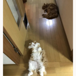 全員そろってサプライズ！