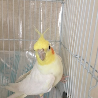 ご応募を沢山頂いた為、募集を停止しております。