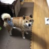 sugiokaさん