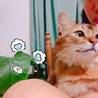 の写真