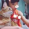 の写真