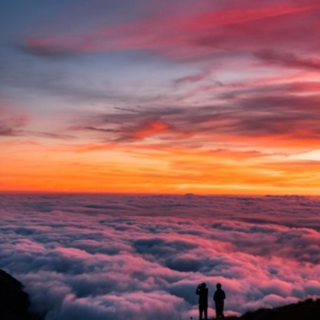 葵.のカバー写真