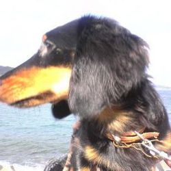 明日、ふたなのか。