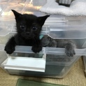 本当にありがとうございました。