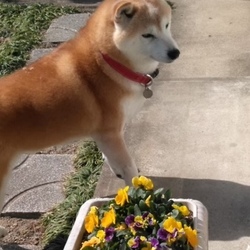 家族だんらん(๑•̀ㅂ•́)و✧