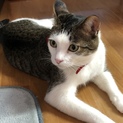 人が大好き