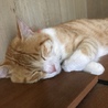 もも*.☆ さん
