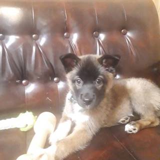 元気いっぱいな女の子『なっちゃん♪』