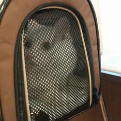 病院ﾌﾟﾙﾌﾟﾙ