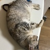 避妊すると太るってホントだね