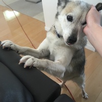 ちょっちゃん