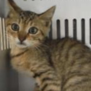 団体様より引出し決定