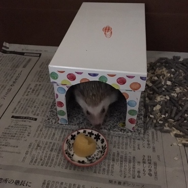 最近、ゼリーを食べる様になりました。