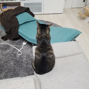 後ろ姿もついついパシャリ