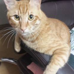 Julia 1歳と１か月