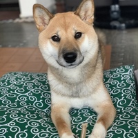 はな
