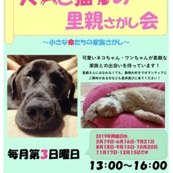 里親さがし会