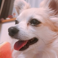 蘭丸