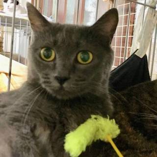 【イリーナ】募集を終了しました