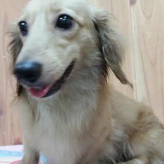 クラ交渉中につき募集停止