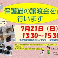 猫の譲渡会 サムネイル1