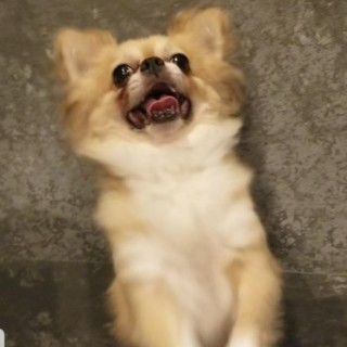 6才男の子　あと追いする甘えん坊さん