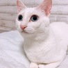 寝起きでめやみがついてるけど可愛かったので1ショット!