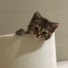 みこりんママ