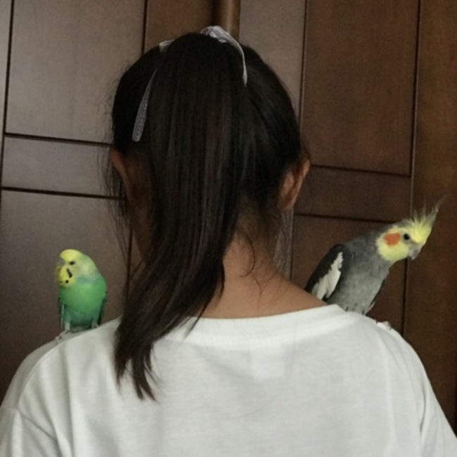 るーぴーのカバー写真
