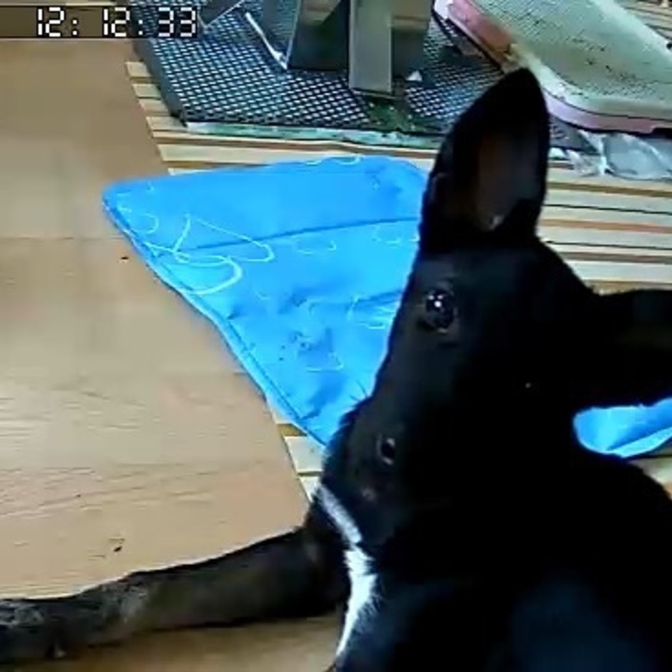 こまりのカバー写真