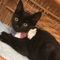 優しい黒君  2ヶ月