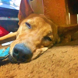 よ～く混ざってる　(^^;)