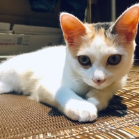 みき