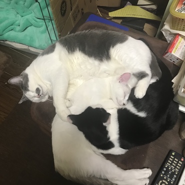 の写真
