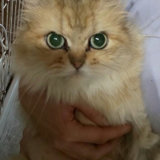 御家族で可愛がってくれる方