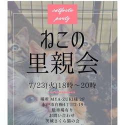 ねこの里親会