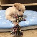 里親さま決まりました☆