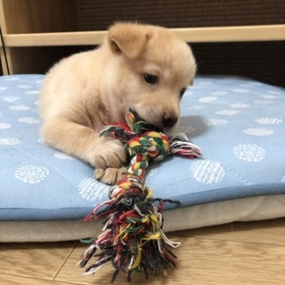 里親さま決まりました☆