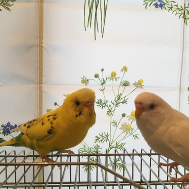 の写真